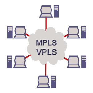MPLS VPLS Virtual Private LAN Service for your locations.